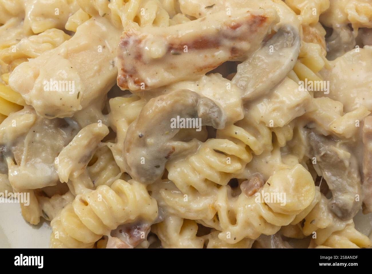 Teller mit Fusilli-Pasta mit Huhn und Pilzen Stockfoto