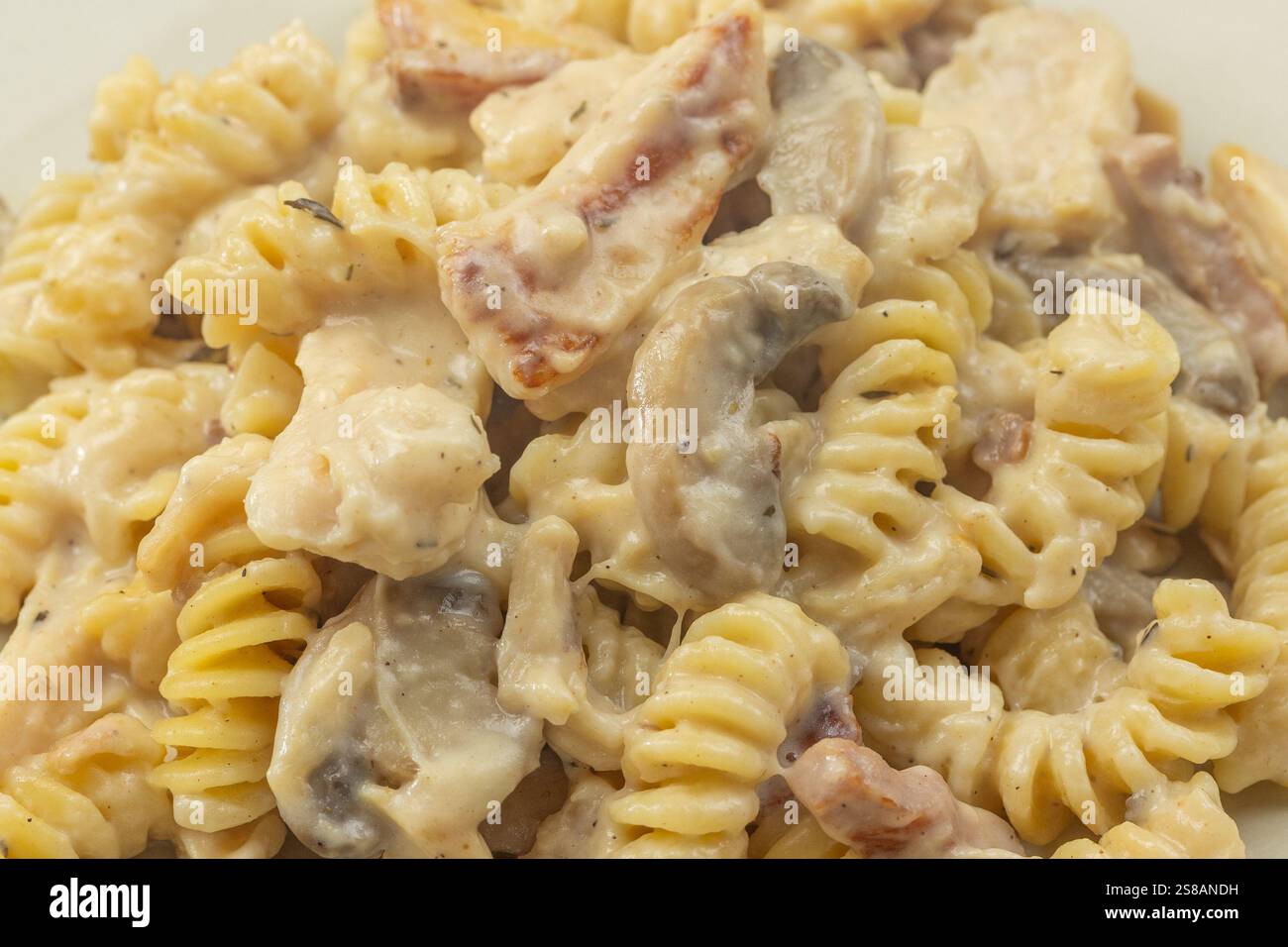 Teller mit Fusilli-Pasta mit Huhn und Pilzen Stockfoto