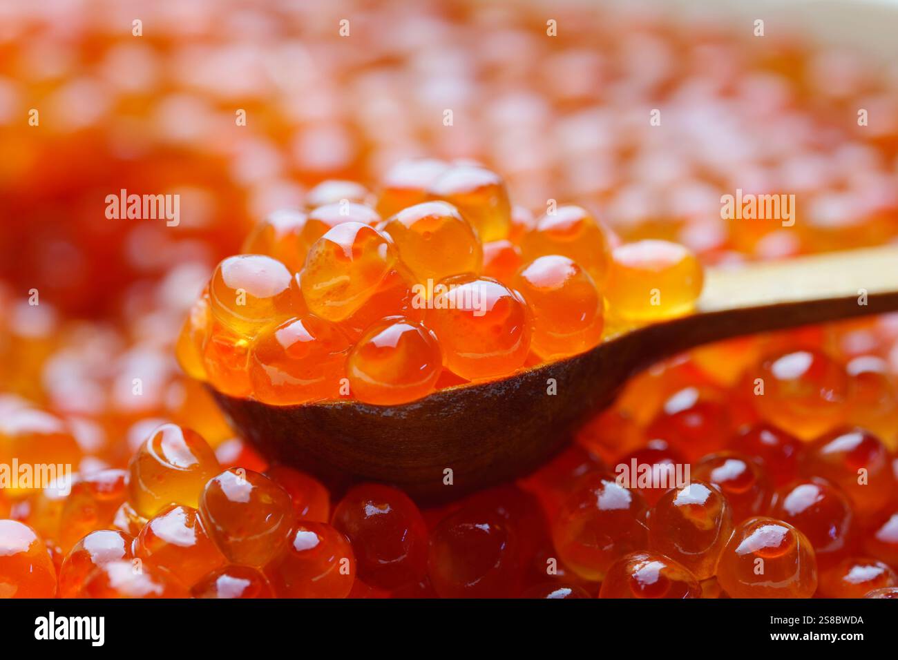 Lachsfischrogen in einem Löffel. Nahaufnahme des roten Kaviars. Feinkost. Meeresfrüchte im Hintergrund. Makroaufnahme des Kaviars von Chum Lachs. Stockfoto