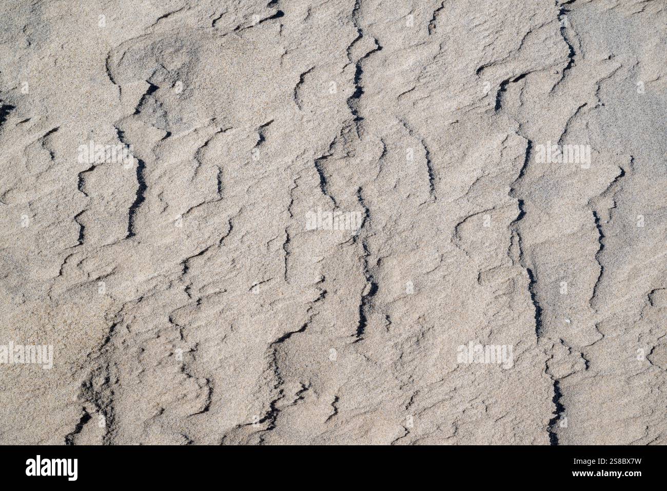 Sandmuster Strand, grafisches Design Textur Hintergrund Tapetenhintergrund, organische Natur Natur natürlich, zerklüftet gerissen, Windkörner, beige neutral Stockfoto