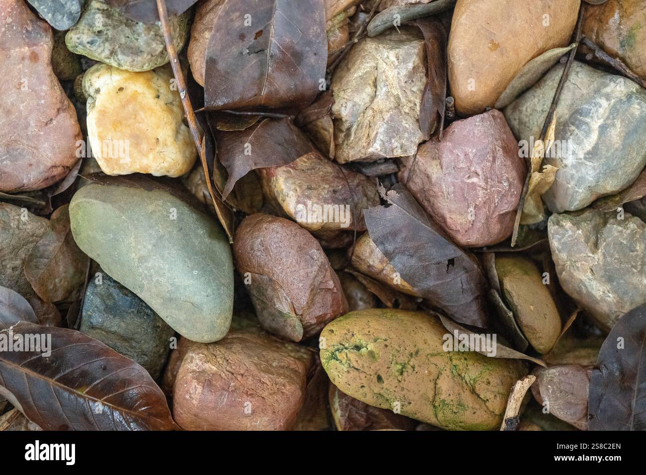 Abstrakte Steine Steine Kiesel hinterlässt Hintergründe Textur Tapeten, organische Natur, erdige Brauntöne Stockfoto