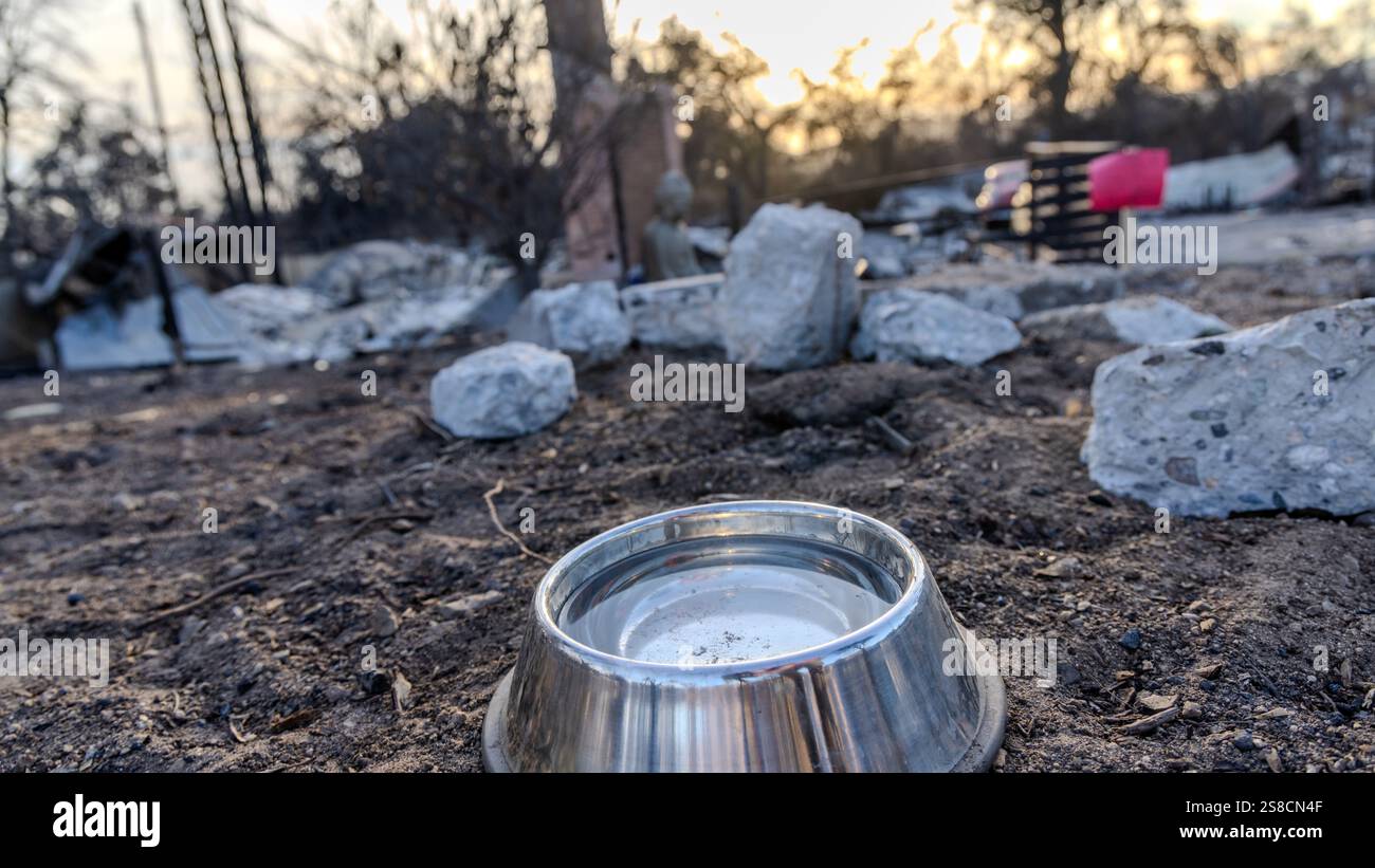 Altadena, Kalifornien, USA. Januar 2025. Eine mit Wasser gefüllte Metallschale wurde vor einem Haus gelassen, das im Eaton-Feuer verbrannt ist, vielleicht aus einem verlorenen Grund oder Hund. (Kreditbild: © Amy Katz/ZUMA Press Wire) NUR REDAKTIONELLE VERWENDUNG! Nicht für kommerzielle ZWECKE! Stockfoto