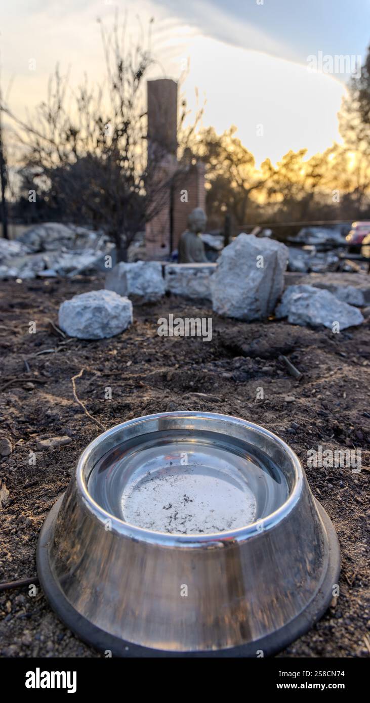 Altadena, Kalifornien, USA. Januar 2025. Eine mit Wasser gefüllte Metallschale wurde vor einem Haus gelassen, das im Eaton-Feuer verbrannt ist, vielleicht aus einem verlorenen Grund oder Hund. (Kreditbild: © Amy Katz/ZUMA Press Wire) NUR REDAKTIONELLE VERWENDUNG! Nicht für kommerzielle ZWECKE! Stockfoto