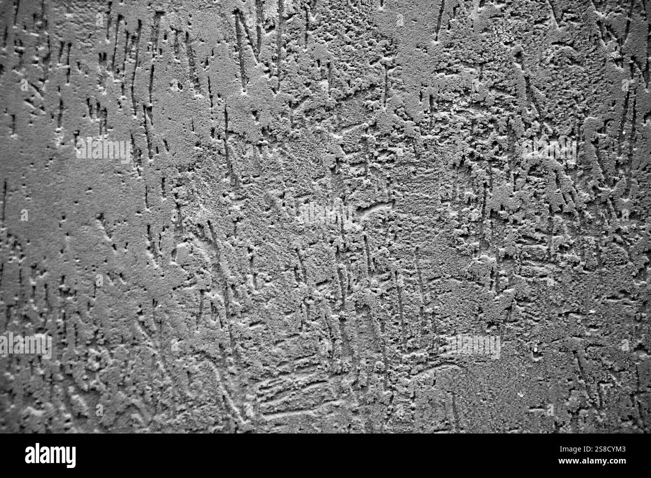 Das aufgenommene Bild ist ein Schwarzweiß-Foto mit einer Betonwand Stockfoto