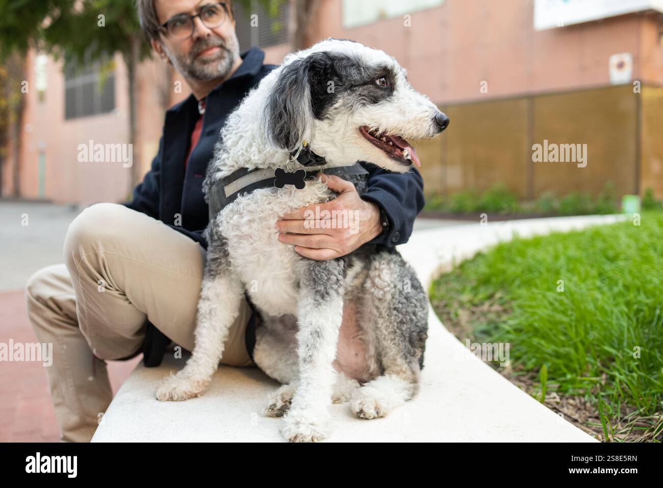 Ein Mann sitzt neben seinem Hund mit lockigen Haaren in einem Stadtpark und bildet ein warmes und berührendes Porträt von Gesellschaft und Liebe. Beide Subjekte blicken liebevoll Stockfoto