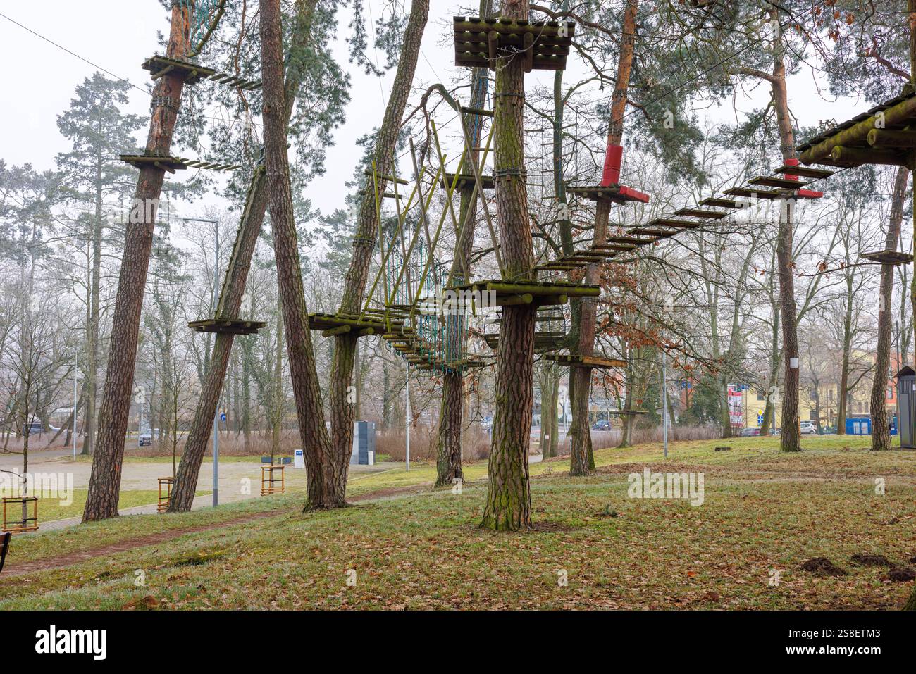 Seilpark mit Hängebrücken auf Kiefern im Stadtpark. Hochwertige Fotos Stockfoto