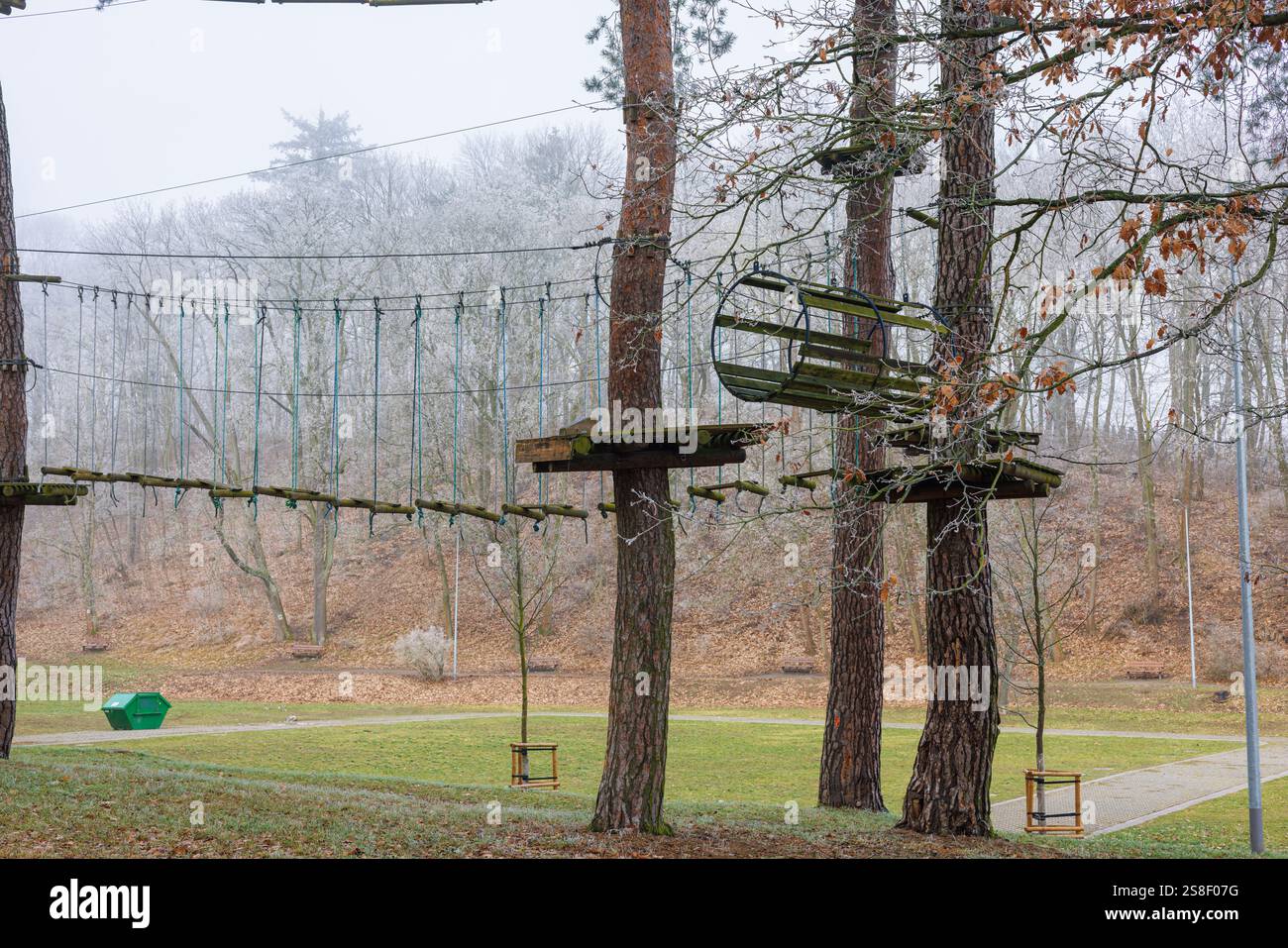 Drei Bäume in einem Seilpark mit gespannten Kabeln und Seilen. Plattformen und Brücken über dem Boden. Hochwertige Fotos Stockfoto