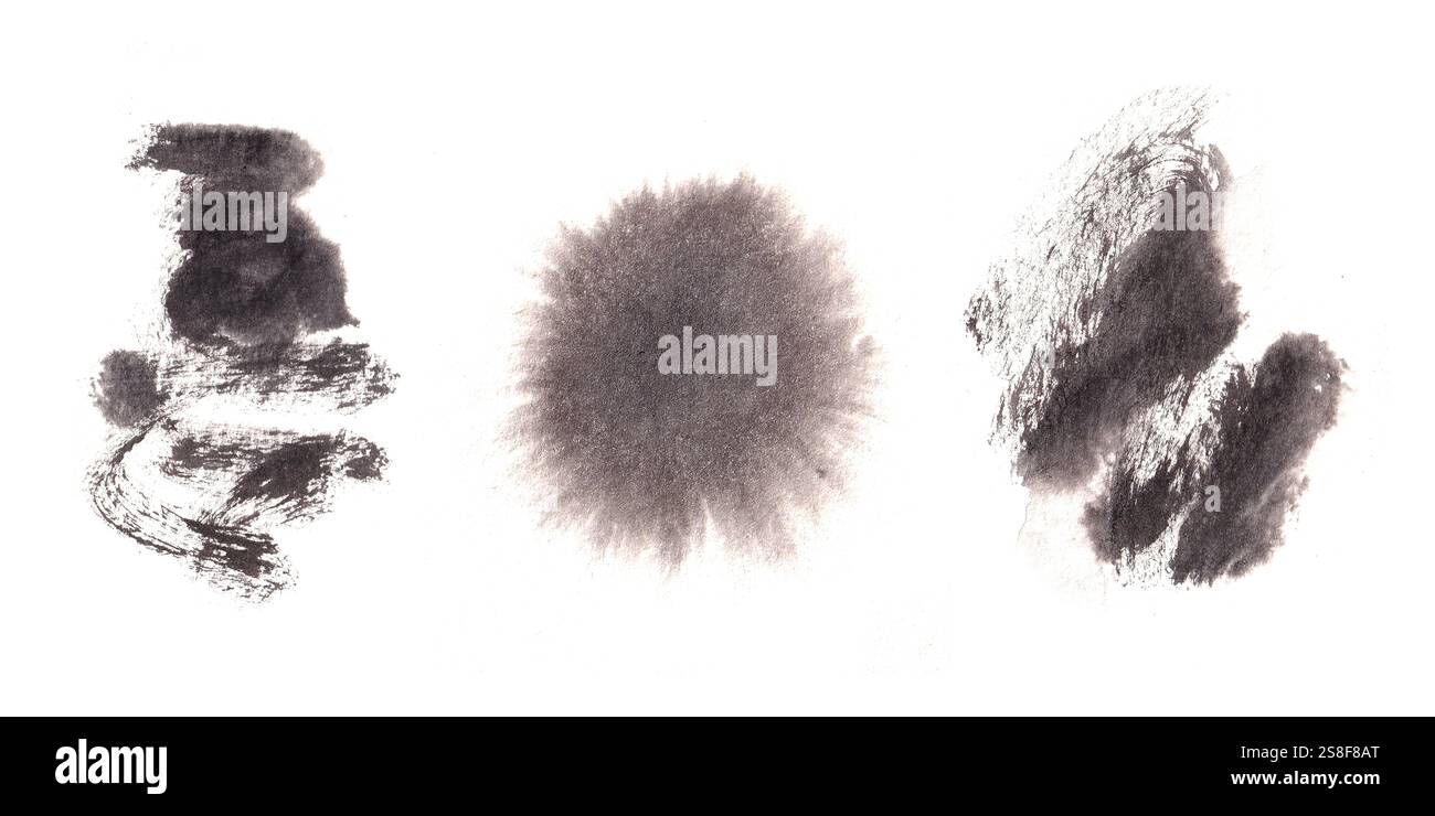 Sammlung von nassen Formen mit schwarzer indischer Tinte, Schwarzweiß-Blot-Element-Kollektion mit rauen Wasserfarben, grauer flüssiger Farbspritzer Stockfoto