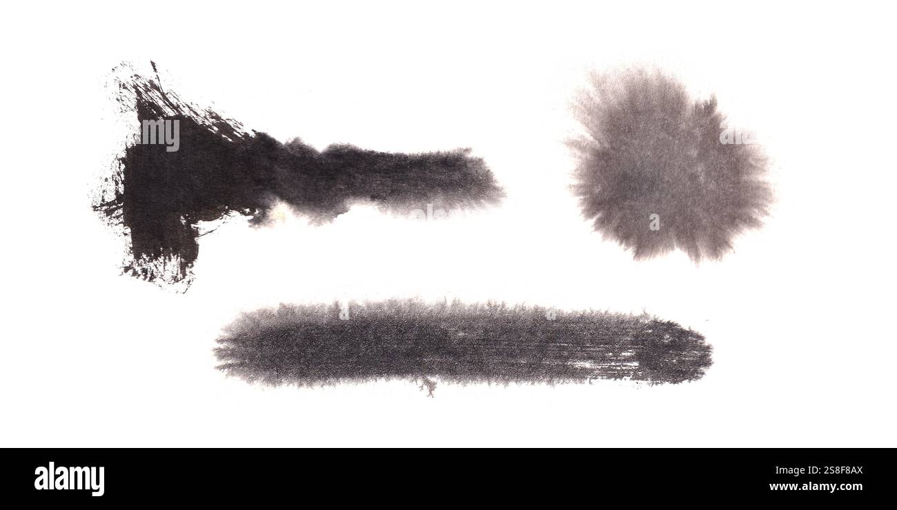 Set aus schwarzen indianertinten nassen Strichen, rauer monochromer Splatter-Kollektion in Aquarellfarben, grauen Farblinien Stockfoto