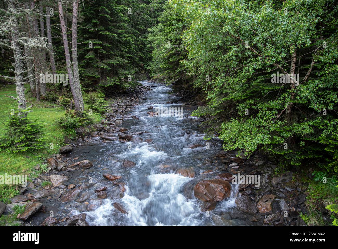 Bergfluss in einem Wald in den Pyrenäen, Frankreich, im Frühling mit üppiger grüner Vegetation Stockfoto