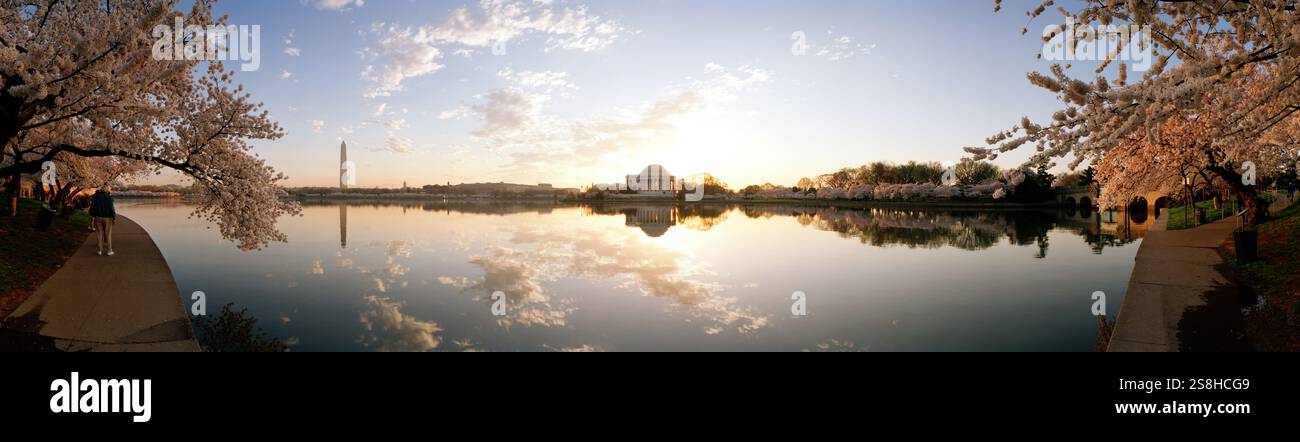 Kirschblüten, Jefferson und Washington Monuments Reflections, Washington DC, USA Stockfoto