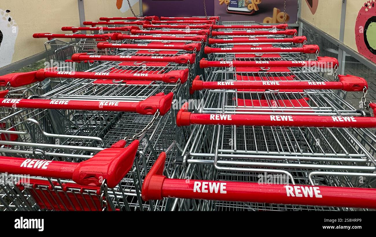 , Deutschland, 21.01.2025, Reihen von Einkaufswagen mit Rewe-Logo, bereit für den Einkauf. Symbolbild für Einzelhandel, Konsum und Alltagsroutine. Stockfoto