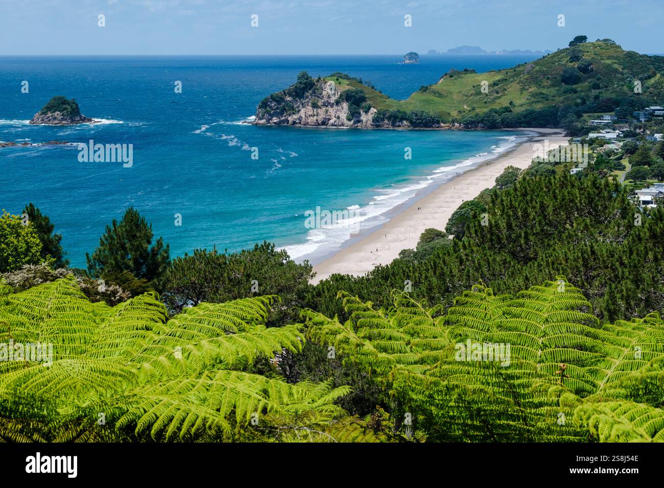 Mercury Bay, Hahei Beach Landschaftsblick, Coromandel Peninsula, Waikato, Neuseeland Nordinsel, Neuseeland Stockfoto