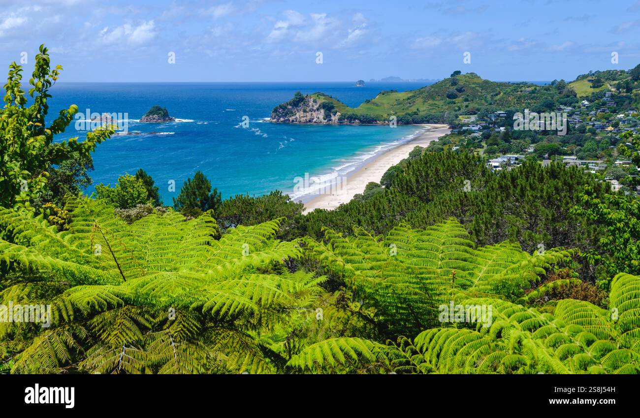 Mercury Bay, Hahei Beach Landscape View, Sommer, Coromandel Peninsula, Waikato, Neuseeland Nordinsel, Neuseeland Stockfoto