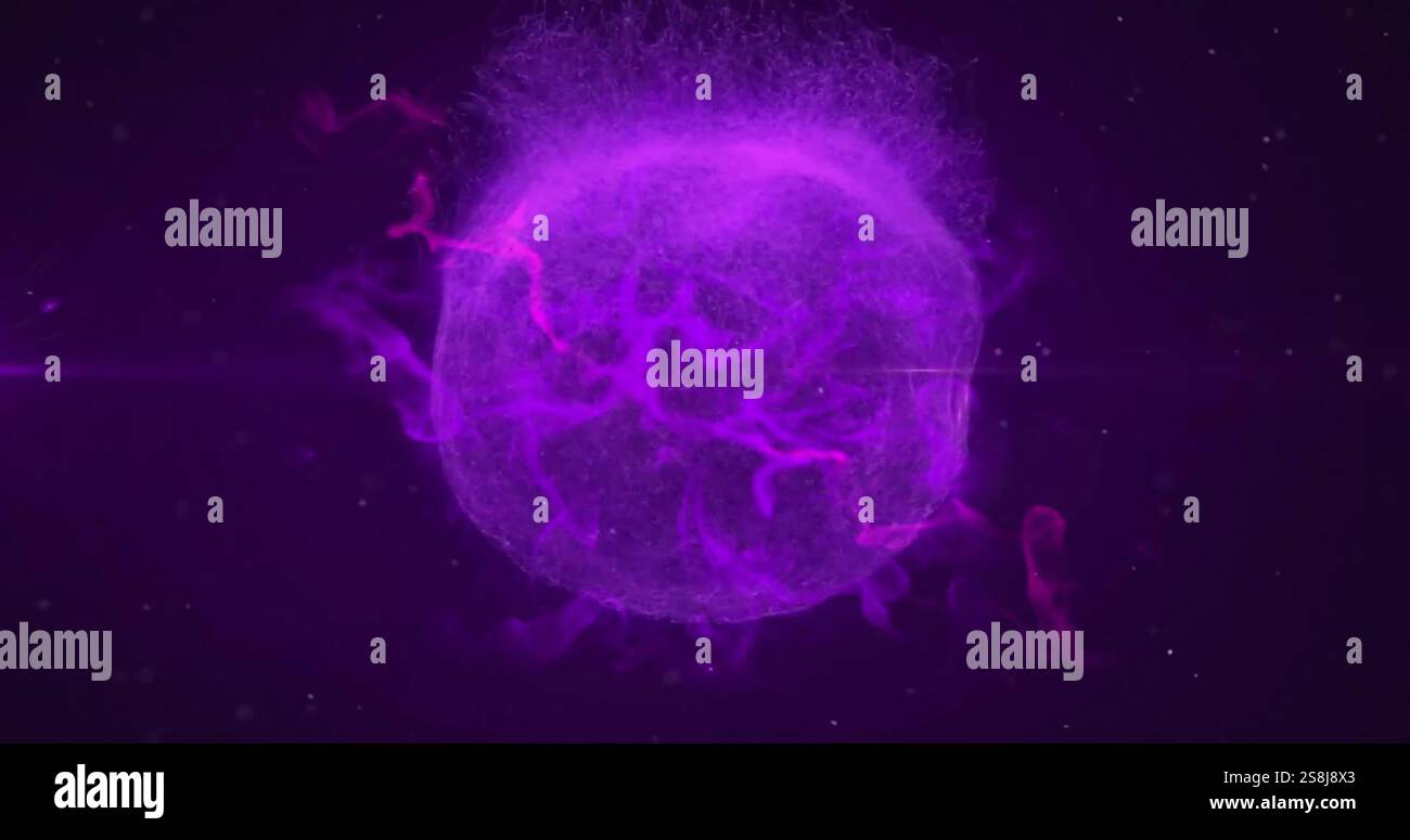 Bild von leuchtend violetten Lichtbahnen, die sich auf einer nahtlosen Schleife auf dunklem Hintergrund bewegen Stockfoto