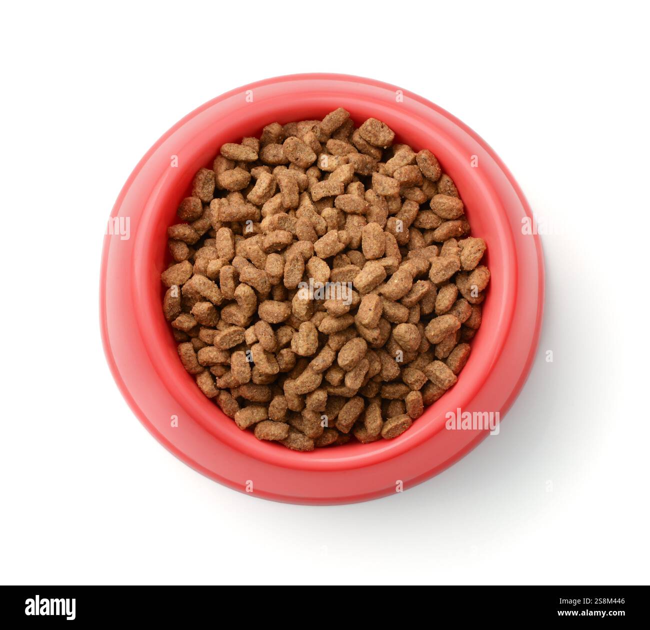 Draufsicht von trockenem Tierfutter in roter Kunststoffschale isoliert auf weiß Stockfoto