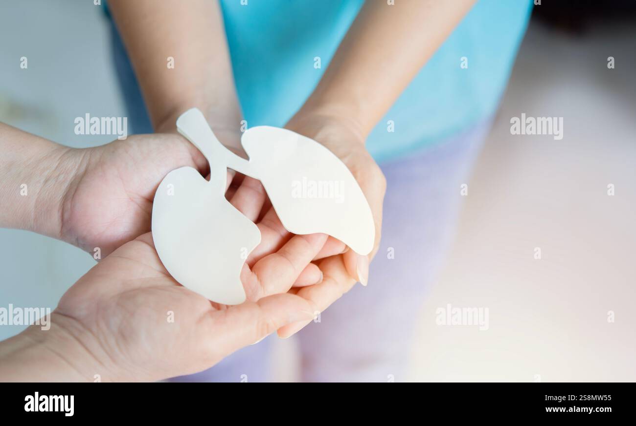 Selektiver Fokus von zwei Händen, die Lunge halten, Welt-Tuberkulose-Tag, Welt-kein-Tabak-Tag, Lungenkrebs, pulmonale Hypertonie, Pneumonie, copd, Öko-Luft Stockfoto