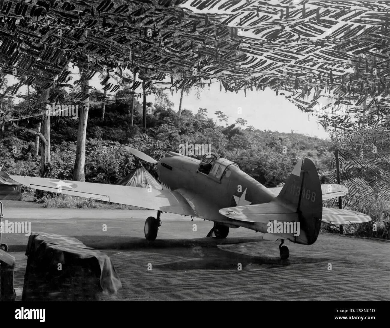 Unter Tarnung flog ein Curtiss P-40 Warhawk, der amerikanische einmotorige, einsitzige, All-Metal-Jagdbomber, erstmals 1938. Das Flugzeug wurde während des Zweiten Weltkriegs von den meisten alliierten Mächten eingesetzt und blieb bis zum Ende des Krieges im Frontliniendienst. Die P-40er waren erstmals im Juni 1941 mit den britischen Commonwealth-Geschwadern der Desert Air Force im Nahen Osten und Nordafrika im Einsatz. Stockfoto