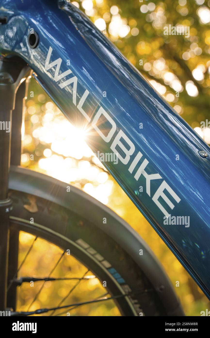 Nahaufnahme eines E-Bikes mit hervorgehobenem Logo im Sonnenlicht, E-Bike, Forest Bike, Calw, Stadtteil Calw, Schwarzwald, Deutschland, Europa Stockfoto