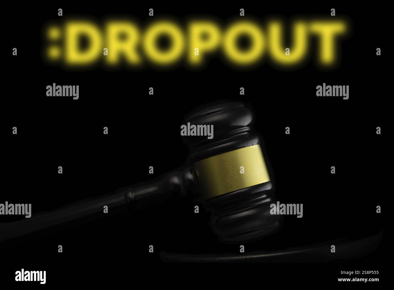 Feldhahn vor dem Dropout-Logo. Dropout ist ein US-amerikanischer Comedy-Streaming-Dienst, der von der Produktionsfirma betrieben wird Stockfoto