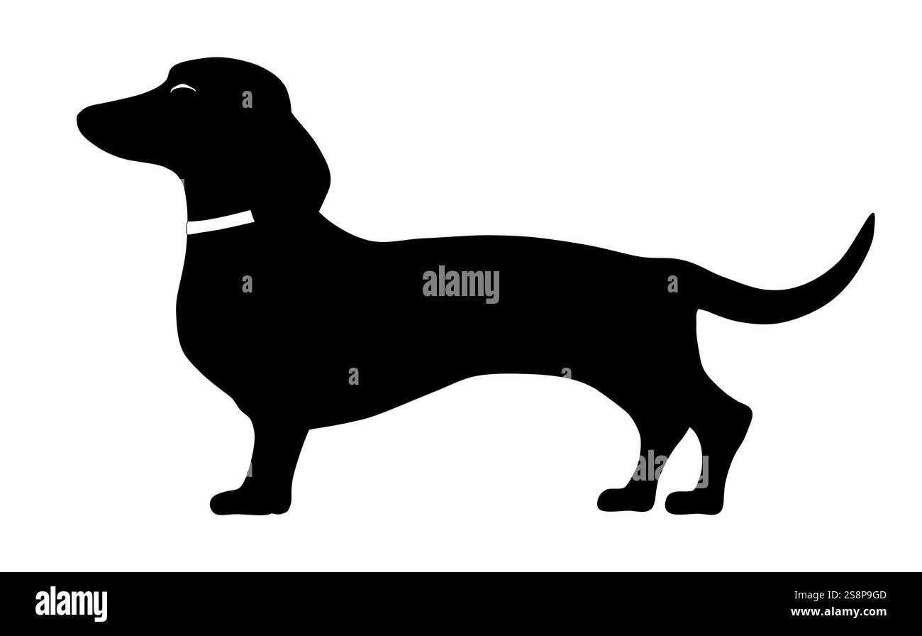 Eine Illustration eines Dackels, der an der Seite steht Stockfoto