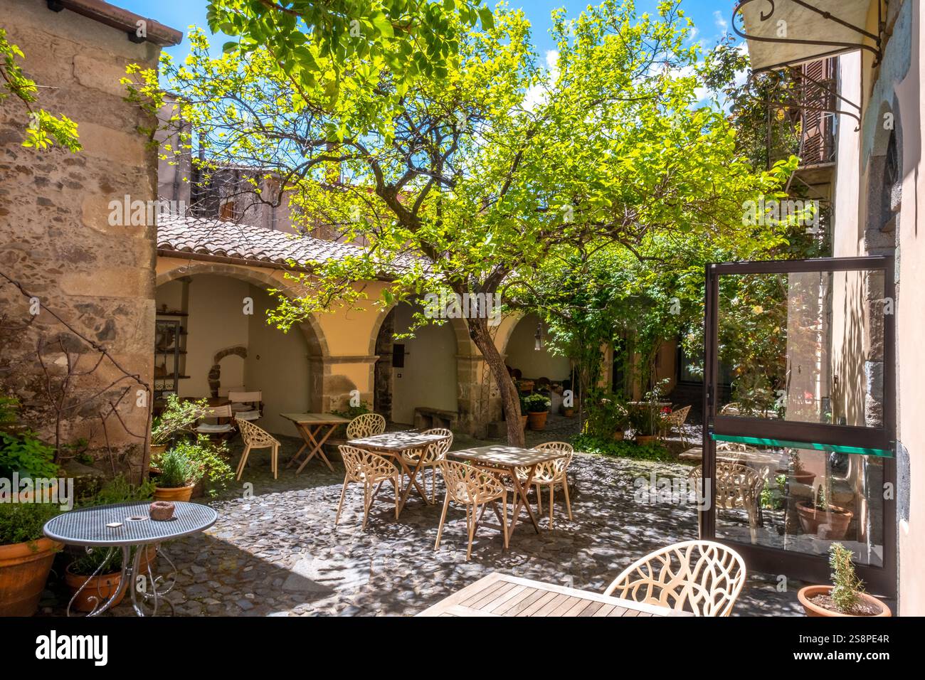 Baum im Innenhof eines Restaurants, Santu Lussurgiu, Europa, Provinz Oristano, Italien Stockfoto