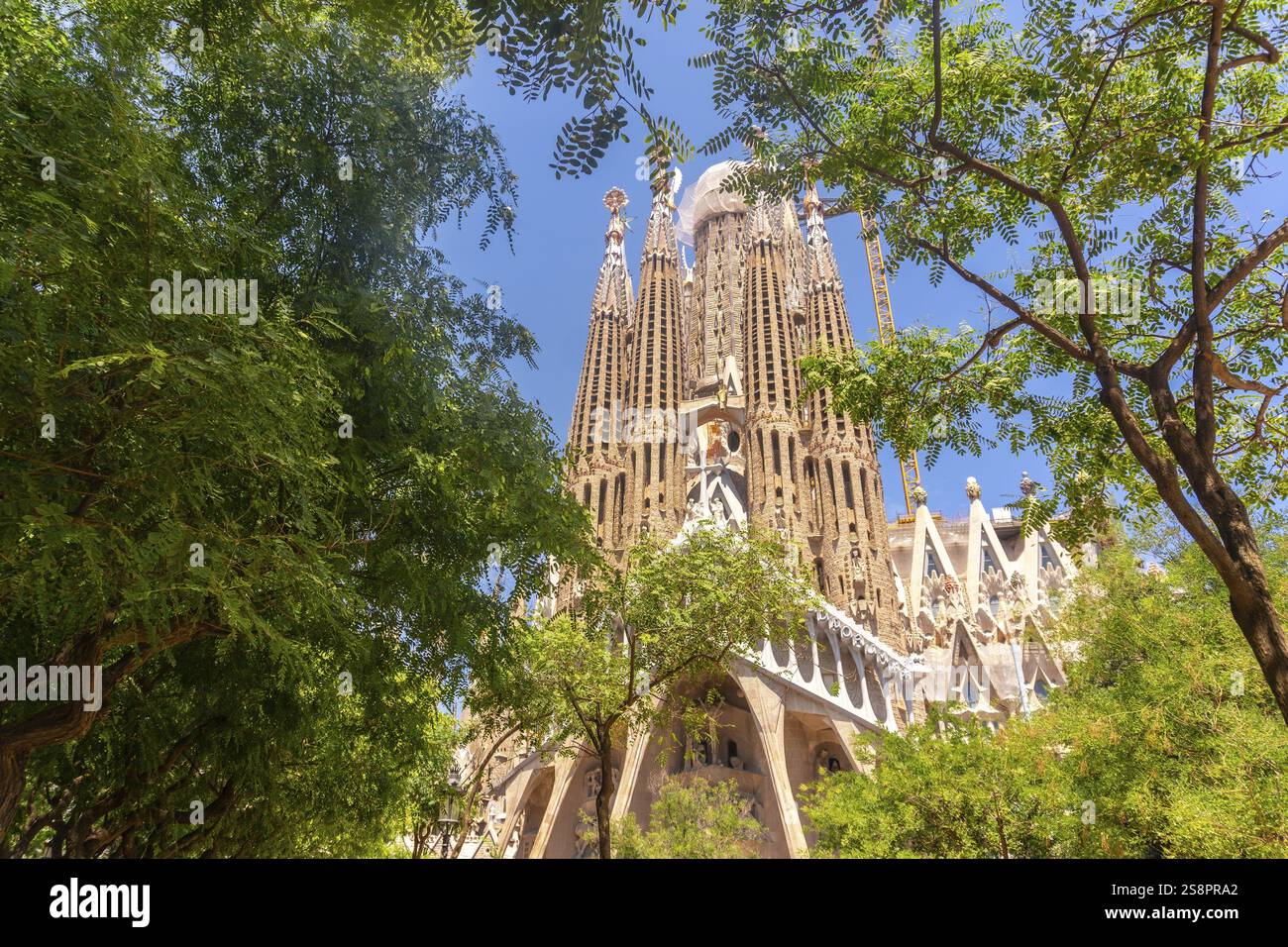 Grüne Bäume, die an einem sonnigen Sommertag die sagrada familia in barcelona, spanien, umrahmen und die berühmte Architektur und natürliche Schönheit zeigen Stockfoto