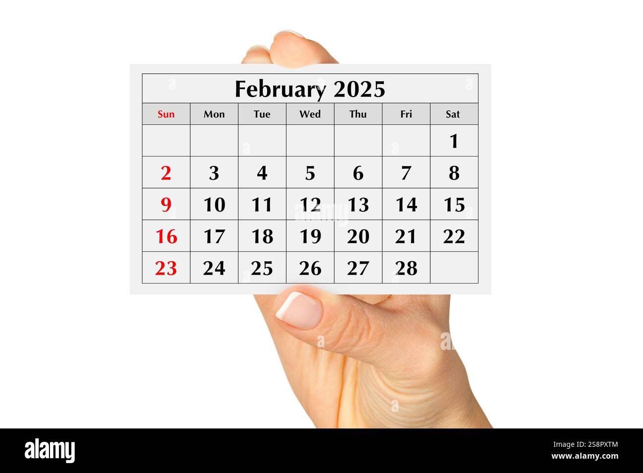 Seite des jährlichen Monatskalenders februar 2025. Isoliert auf weißem Hintergrund Stockfoto