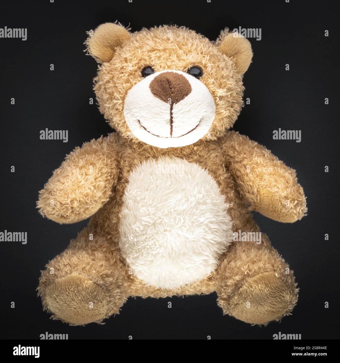 Ein Bild eines Teddybären, isoliert auf schwarzem Hintergrund Stockfoto