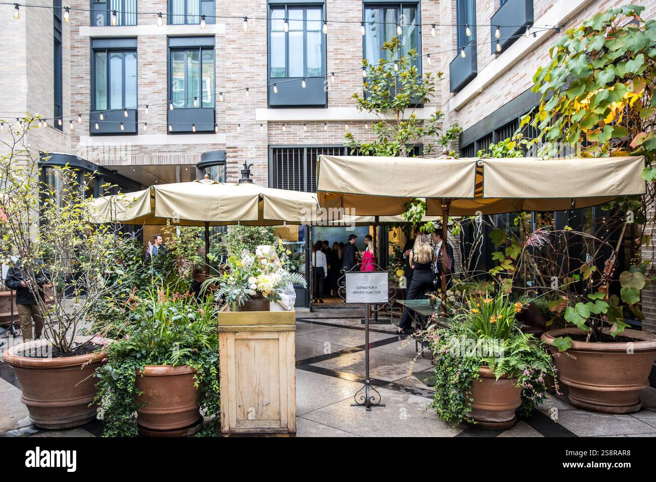 Petersham Kindergarten, Covent Garden, 31 King St, WC2E 9DS Stockfoto