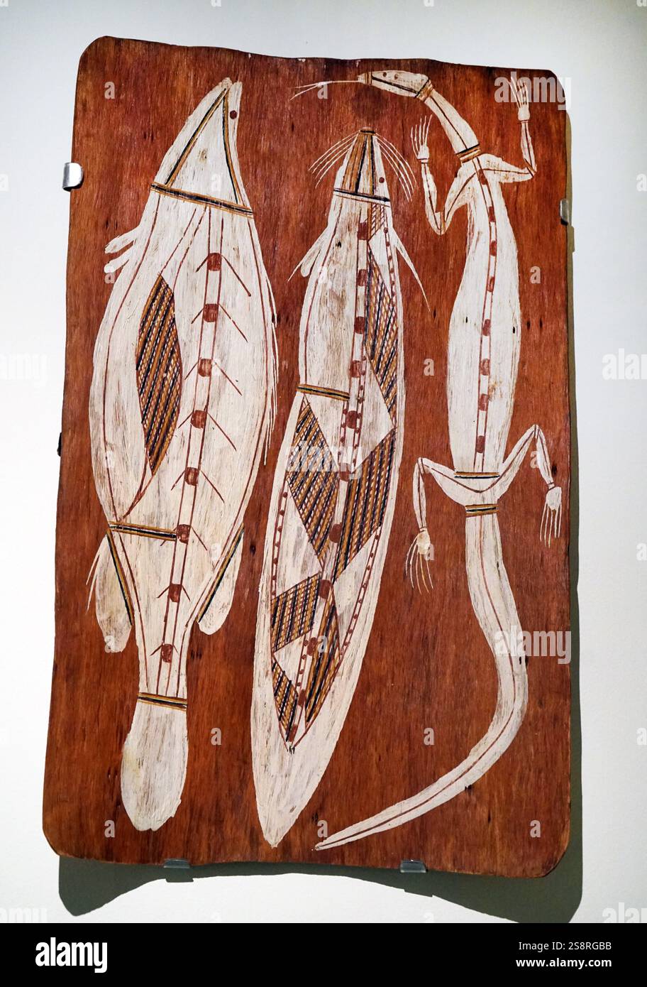 Lackiertes Holz, das für ein Wels und Lizard von Norden Australien. Vom 20. Jahrhundert Stockfoto