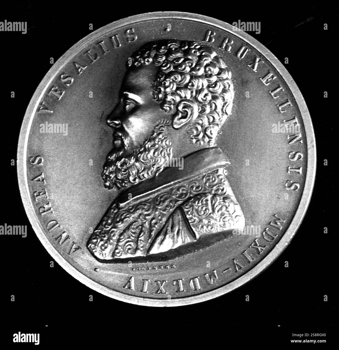 Medaille, Andreas Vesalius (1514-1564) eine Flämisch-niederländischen Anatom, Arzt und Autor von Büchern über die menschliche Anatomie. Vom 16. Jahrhundert Stockfoto