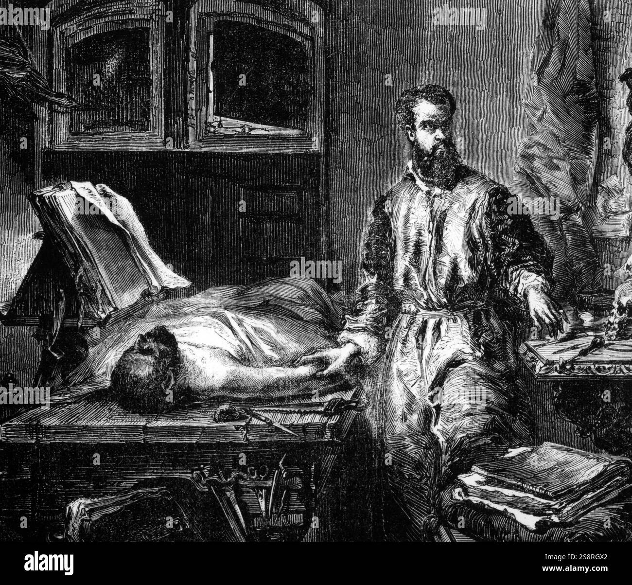 Portrait von Andreas Vesalius (1514-1564) eine Flämisch-niederländischen Anatom, Arzt und Autor von Büchern über die menschliche Anatomie. Vom 16. Jahrhundert Stockfoto