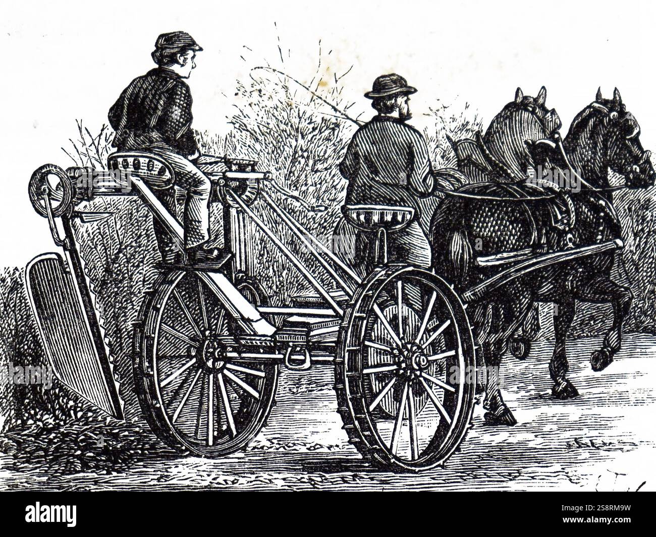 Gravur mit einem Pferdefuhrwerk hedge Schneidemaschine. Vom 19. Jahrhundert Stockfoto