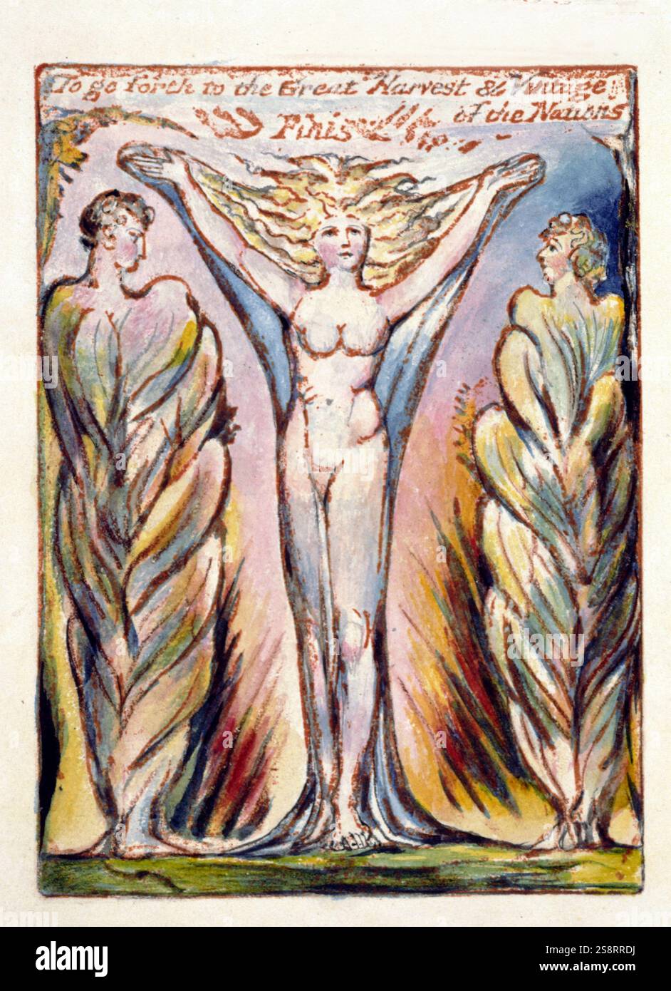 Milton, ein Gedicht in 12 Büchern, 1815. Von William Blake (1757–1827), einem englischen Dichter, Maler und Printmacher. Orangefarbener Druck auf 50 Blättern, von gravierten Platten, die sowohl Text als auch Illustrationen enthalten Stockfoto