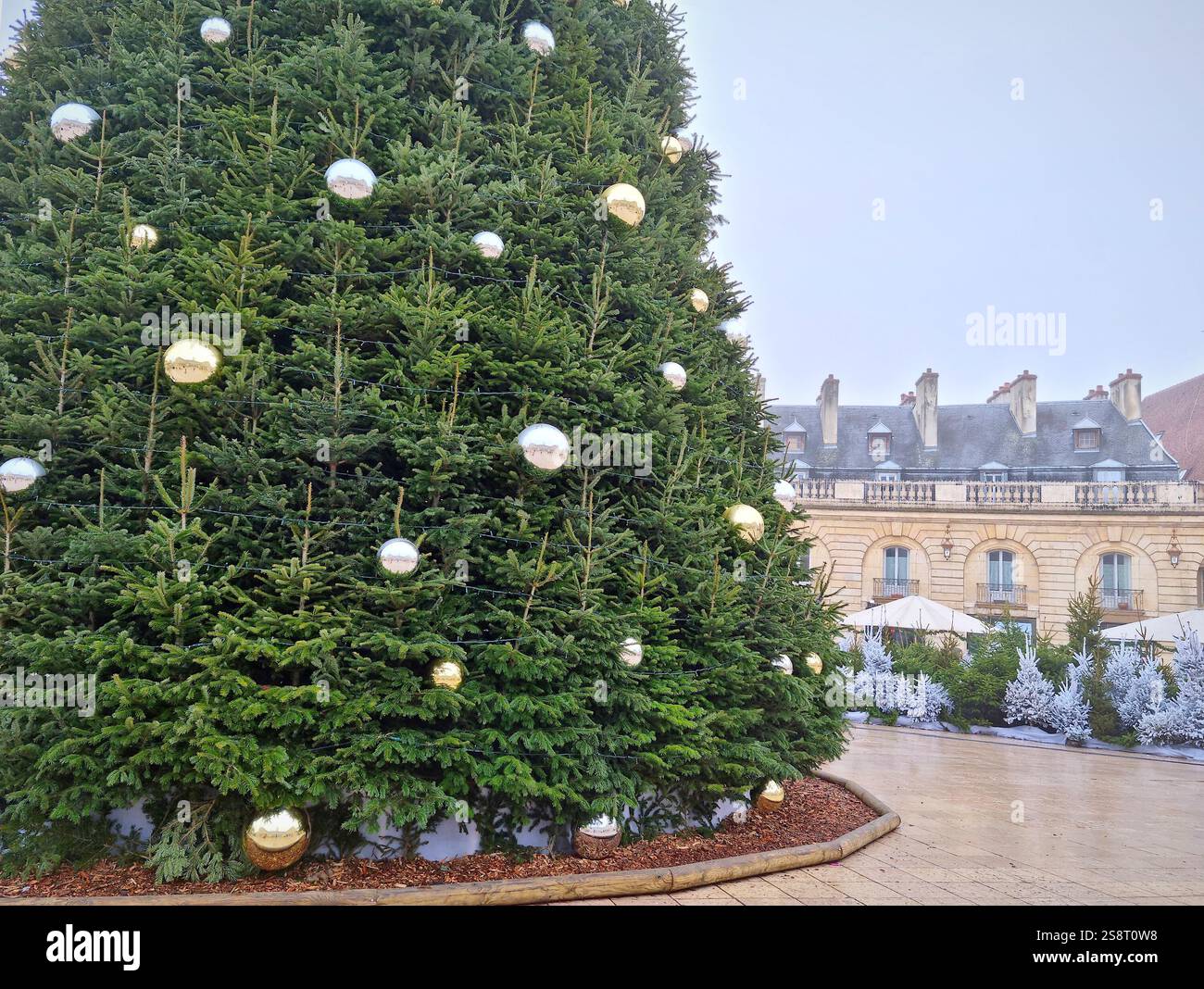 Platz der Befreiung (Place de la Liberation), geschmückt zu Weihnachten, Dijon, Frankreich Stockfoto