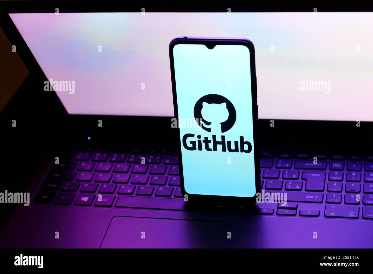 Kanada. Januar 2025. In dieser Abbildung wird das GitHub-Logo auf einem Smartphone-Bildschirm angezeigt. (Credit Image: © Thomas Fuller/SOPA Images via ZUMA Press Wire) NUR REDAKTIONELLE VERWENDUNG! Nicht für kommerzielle ZWECKE! Stockfoto