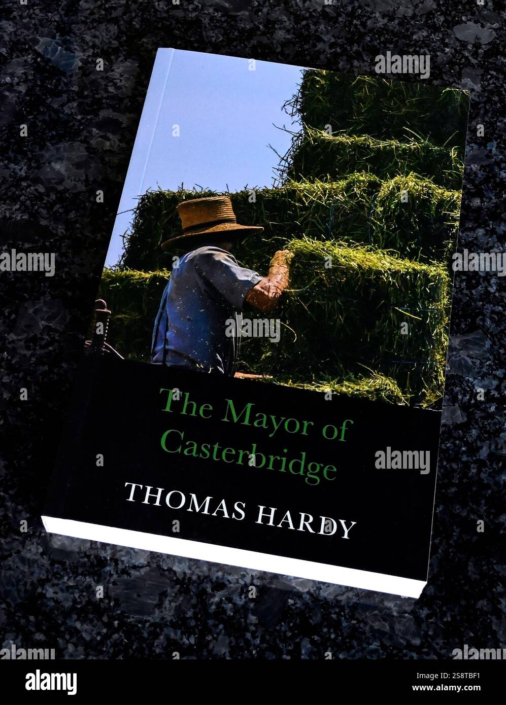 Bucheinband. "Der Bürgermeister von Casterbridge" von Thomas Hardy. Stockfoto