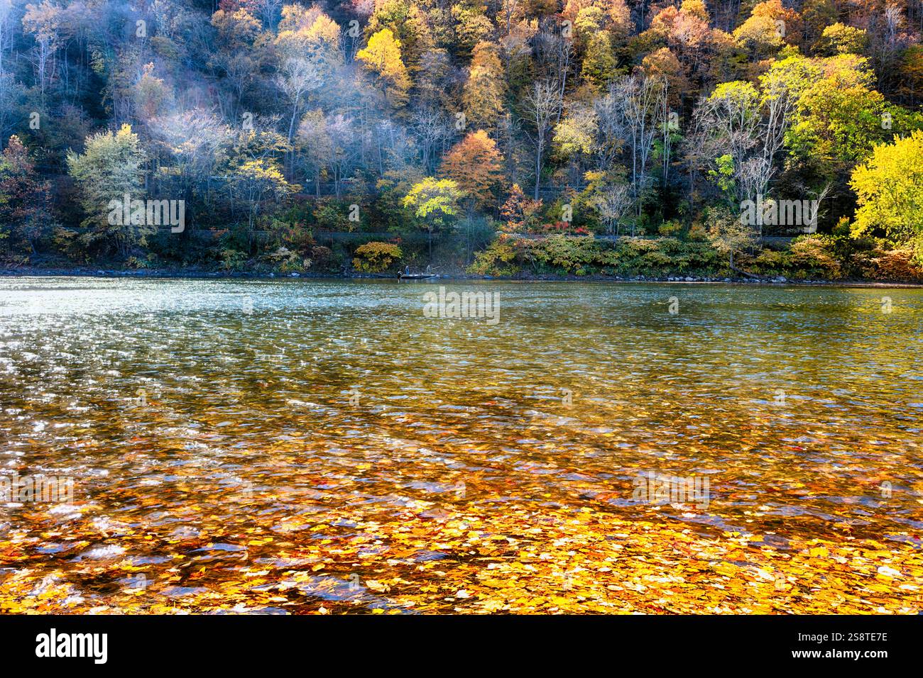 Delaware River Fall Scenic mit schwebenden bunten Blättern an der Water Gap, New Jersey Side Stockfoto