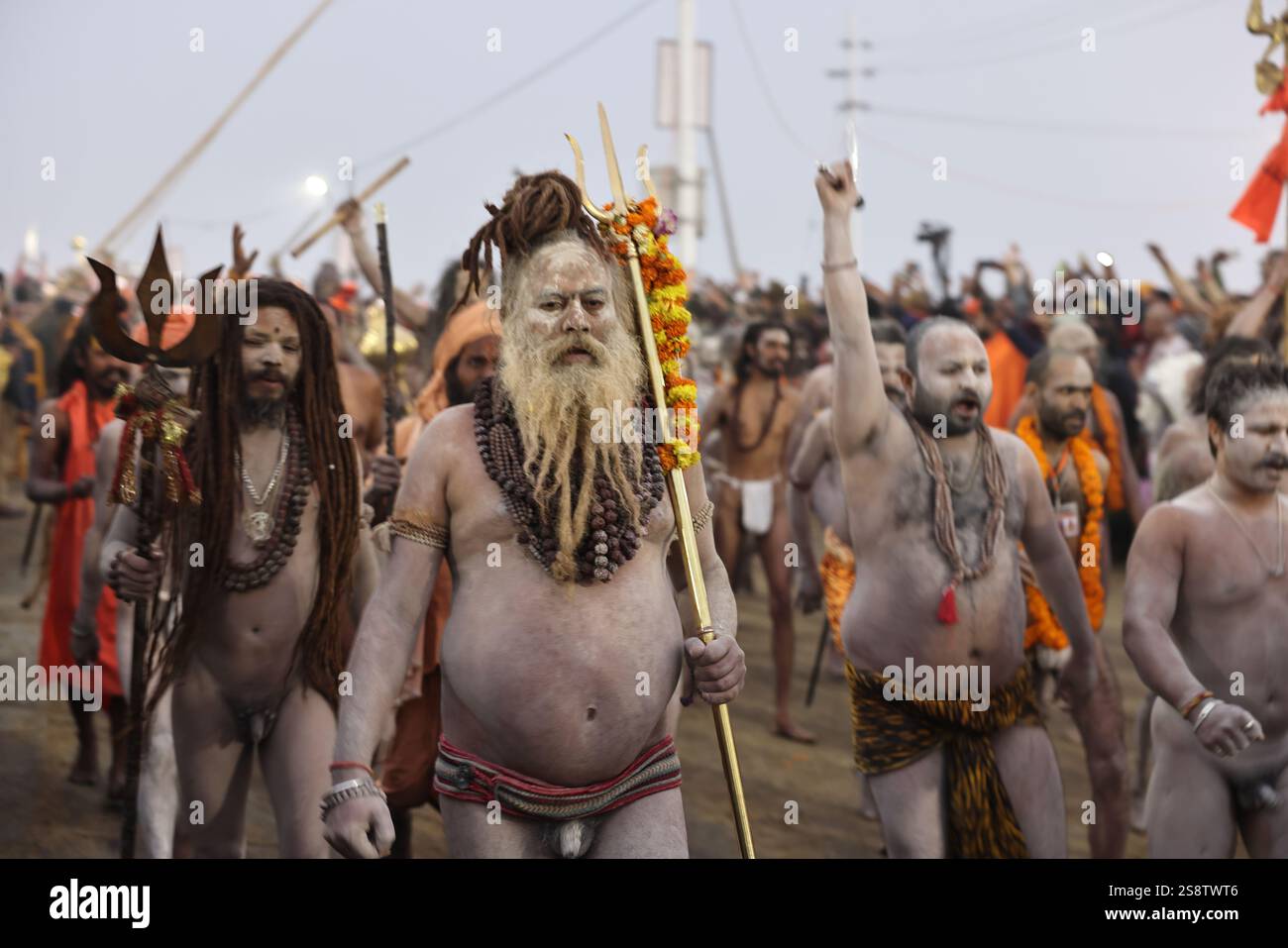 Naga Sadhus, Shahi Snan Parade (königliches Bad), Maha Kumbh Mela Festival, Prayagraj, Uttar Pradesh, Indien Stockfoto
