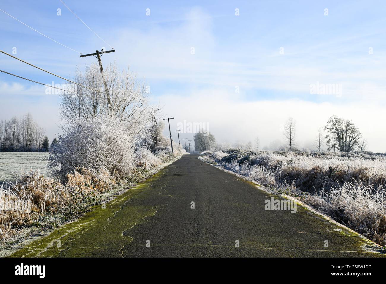 Winterszene auf einer verwitterten Landstraße in frostiger Morgenlandschaft Stockfoto