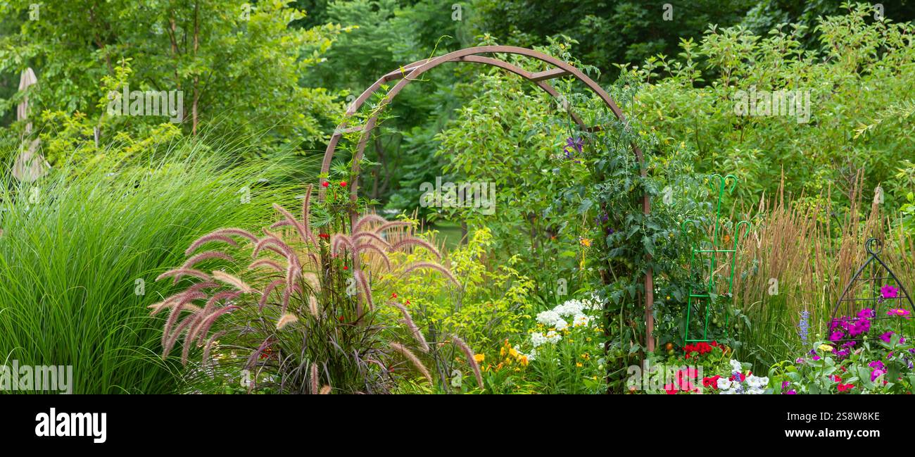 Karl Foerster Feather Reed Gräser mit ihren federleichten Federn, manierlich mit kühner vertikaler Erscheinung, verbunden mit Katzenminze und russischem Salbei Stockfoto