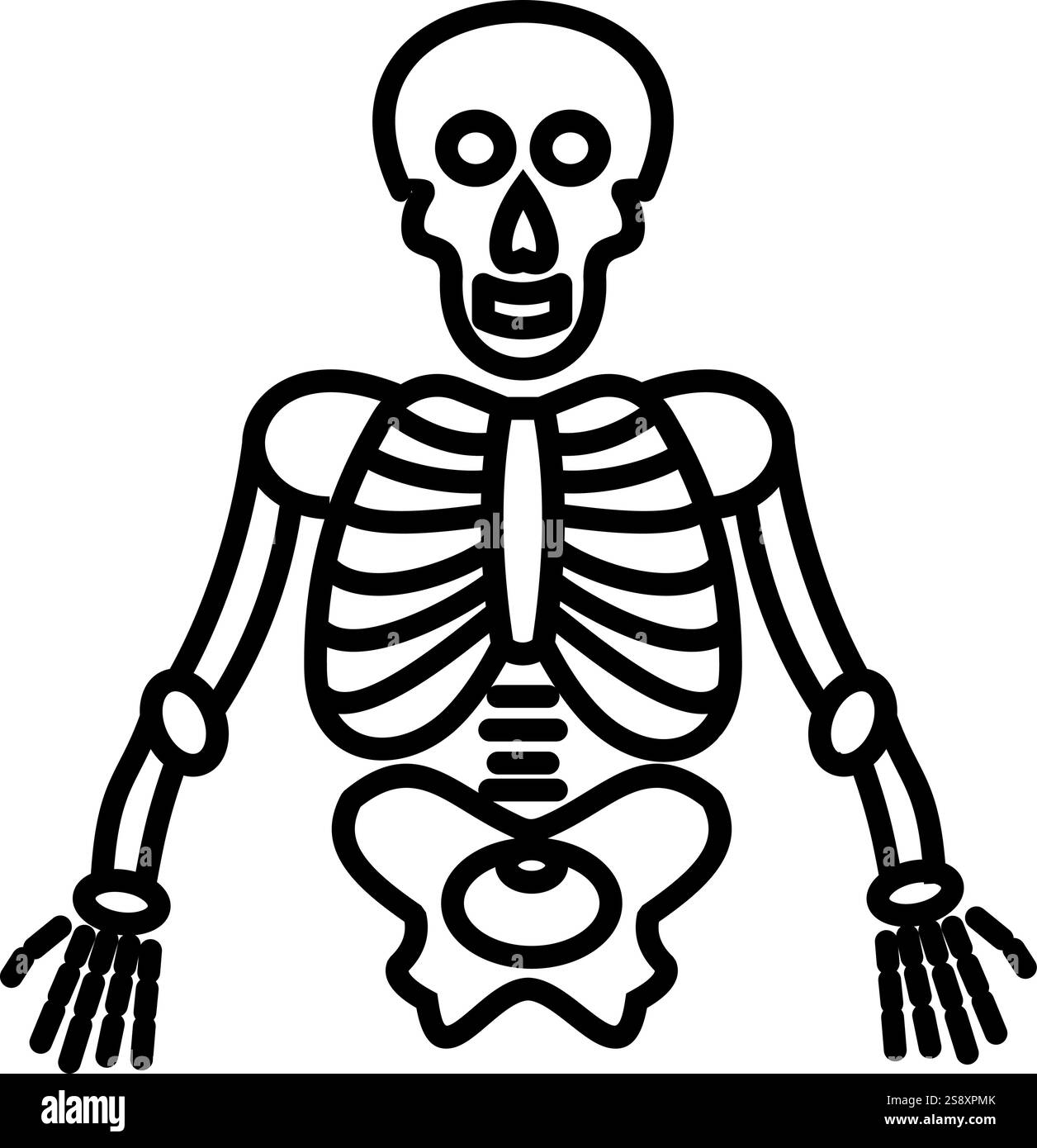 Menschliches Skelett, Skelett, Knochen, Knochen, Medizin, Anatomie, Gesundheitswesen, Mensch, Frau, Körper Stock Vektor