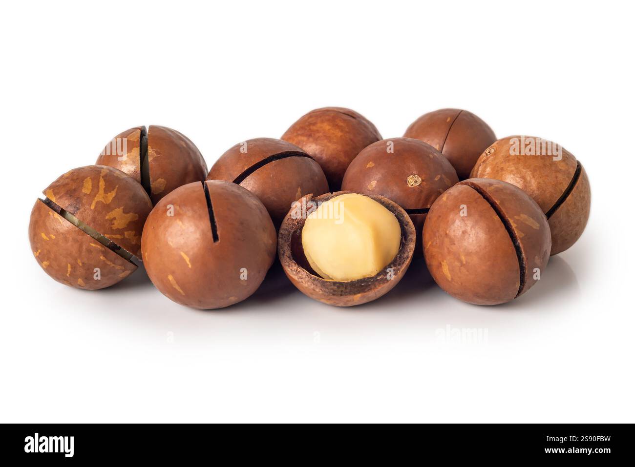 Verschiedene Macadamia-Nüsse sind so angeordnet, dass sie ihre festen Schalen und ihre reichhaltige, cremige Textur hervorheben und einen genaueren Blick auf die Haut werfen. Stockfoto