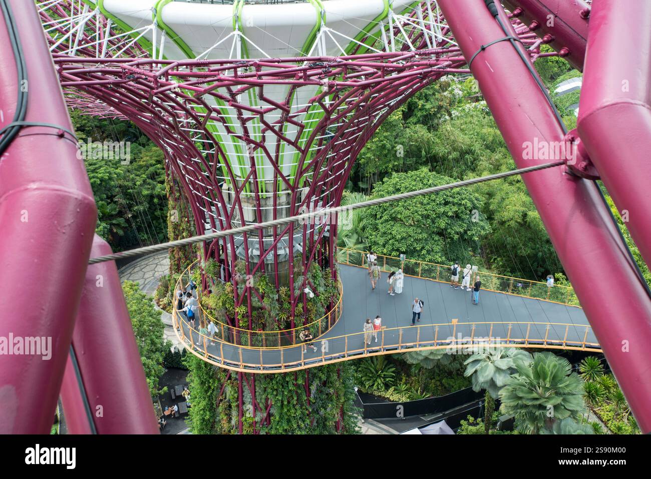 Blick vom Supertree Observatory auf die Menschen, die auf dem OCBC Skywalk laufen, Gardens by the Bay, Singapur, Südostasien Stockfoto
