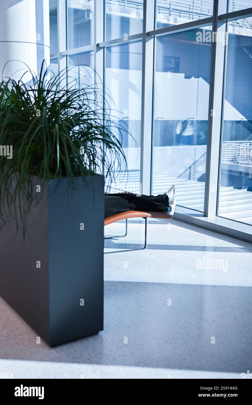 Flughafen-Lounging in der Nähe von Pflanzen Füße sichtbar mittlere Reichweite (2) Stockfoto