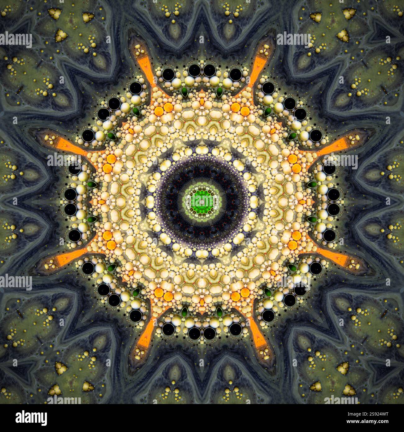 Ein einzigartiges Kaleidoskop aus einem Foto. Abstrakter Kaleidoskophintergrund. Wunderschönes psychedelisches Kreismuster. Mehrfarbige geometrische Textur Stockfoto