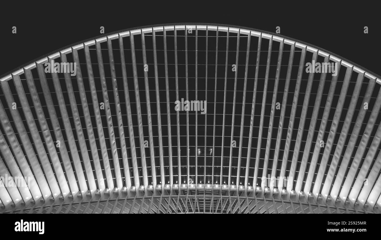 Schwarzweiß-Foto eines strukturierten Gebäudebaus mit Linien, Bahnhof Lüttich-Guillemins, Lüttich-Guillemins, Belgien, Europa Stockfoto