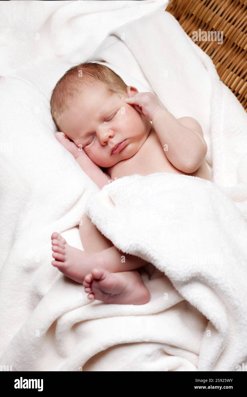 Gesundes neugeborenes Baby Junge zwei Wochen alt schlafen Stockfoto