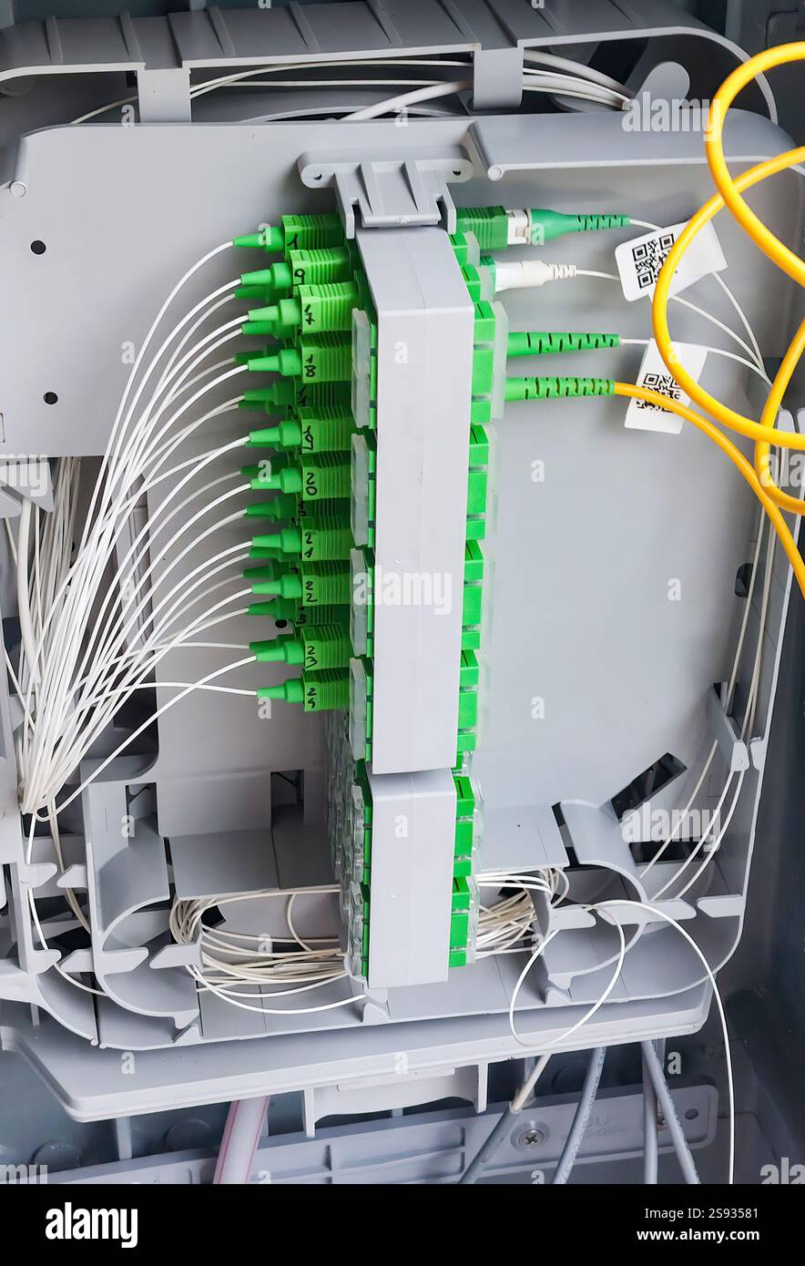 Glasfaserverteiler mit mehreren Glasfaserkabeln und Steckverbindern, die eine nahtlose Datenübertragung und Hochgeschwindigkeits-Internetverbindung gewährleisten Stockfoto